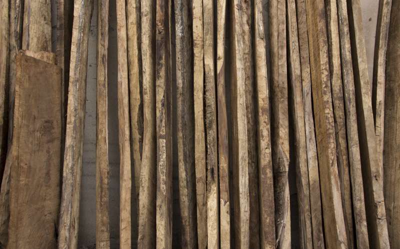 Wood - raw material